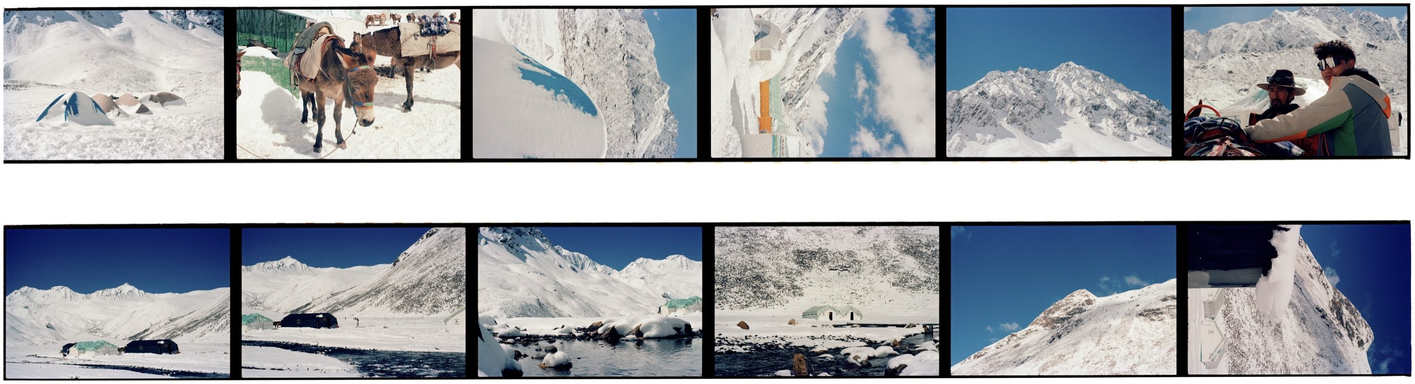 Film photograph